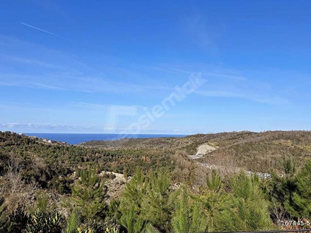 ŞİLE BOZGACA DA DENİZ MANZARALI 9.558m2 ARSA