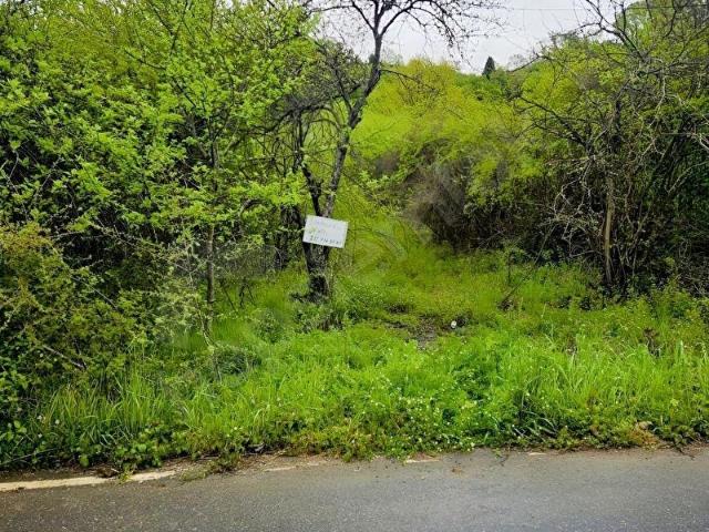 ŞİLE GEREDELİ'DE ASFALT YOLA CEPHE SATILIK TARLA
