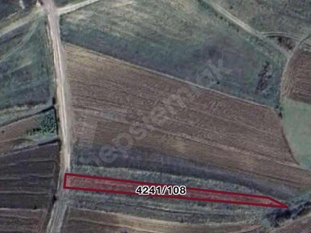 ŞİLE GEREDELİDE SATILIK 726 m TARLA YOLA CEPHE