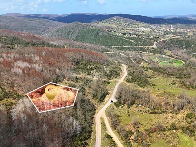 ŞİLE HACILLI'DA 1.460m2 YATIRIMLIK SATILIK TARLA