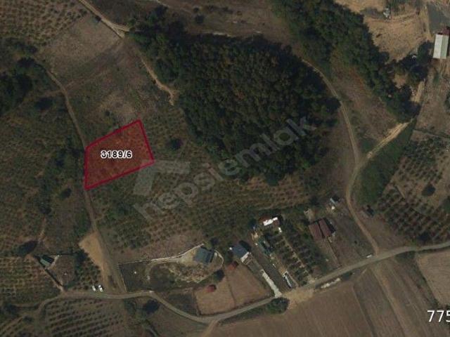 ŞİLE KALEM MÜSTAKİL 1.368 M2 SATILIK ARAZİ