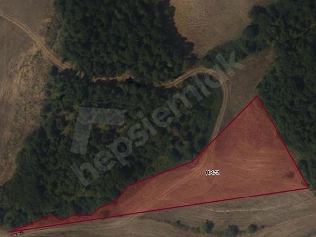 ŞİLE TURYAPTAN DEĞİRMENÇAYIRINDA ORMAN KENARI 3828 M TARLA