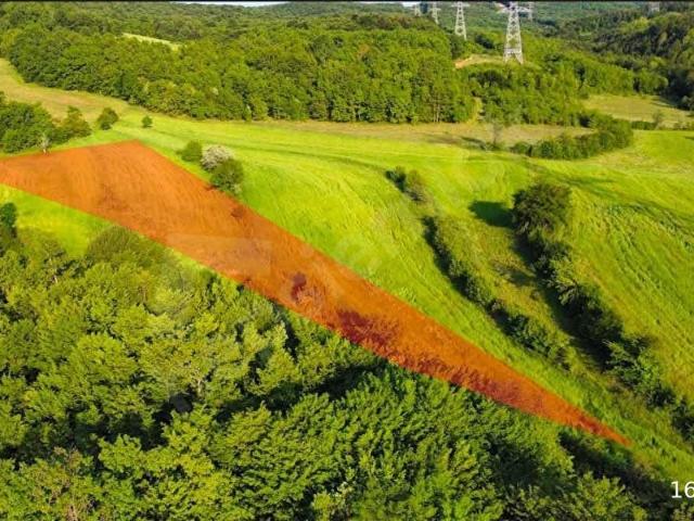 ŞİLE TURYAP'tan Değirmençayırı'nda 3828 m Orman Kenarı Tarla