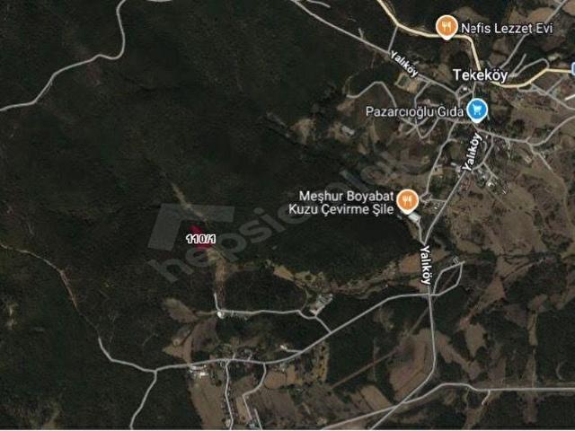 ŞİLE TEKE MAH 2112 M2 SATILIK FINDIK BAHÇESİ