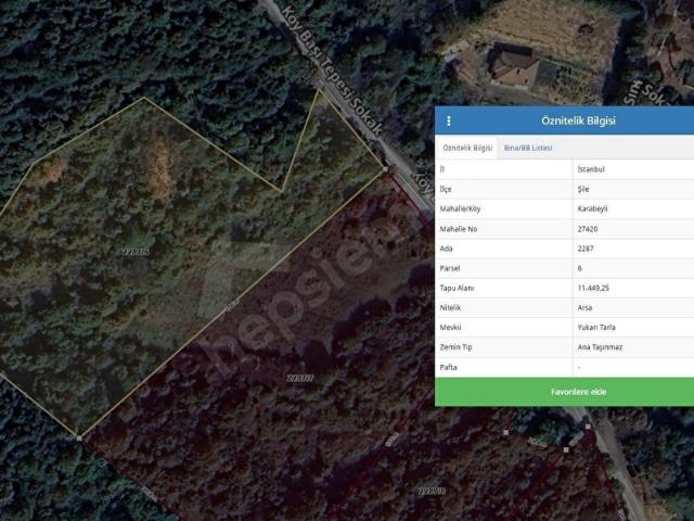 ŞİLEKARABEYLİ MAHALLESİTURİZM TESİS ALANI11.449 M2NET ARSA