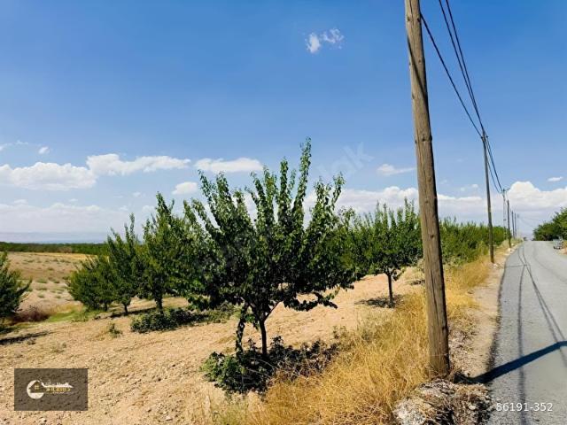 İLERİ EMLAKTAN BAHÇE