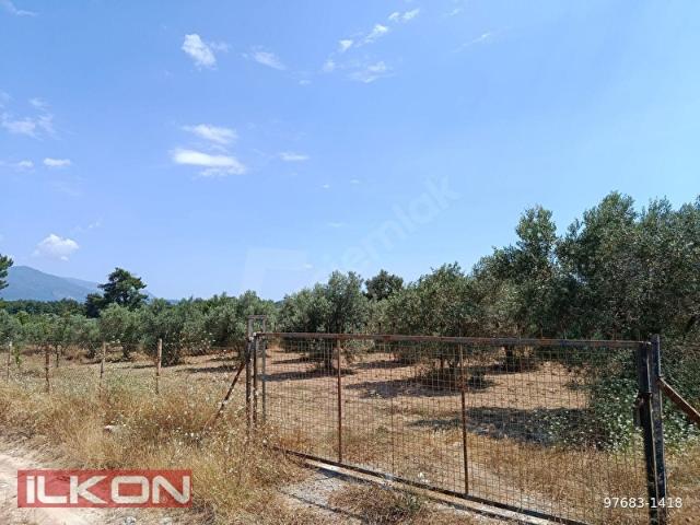 İLKON'DAN SEYDİKEMER EŞEN'DE 16.200 M2 YATIRIM FIRSATI TARLA