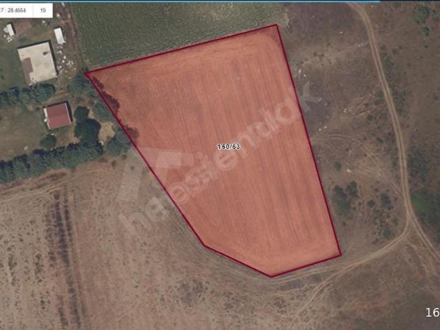 İSTANBUL HAVALİMANI YOLU ÜZERİNDE TEK TAPU 7.500 M2 FIRSAT TARLA