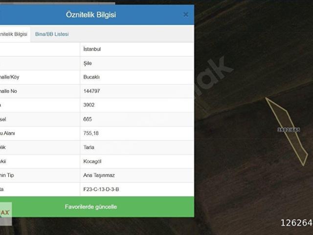 İstanbul Şile de Müstakil Parsel Satılık Arazi