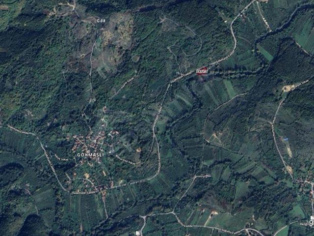 İstanbul Şile Gökmaslı 1.621m Asfalt Yola Cephe Satılık Tarla
