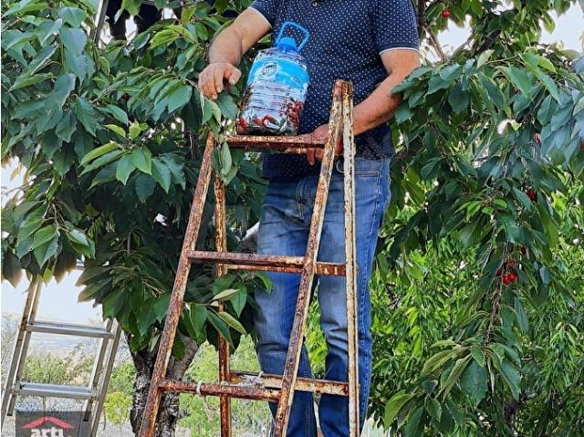 İŞTE o bahçe İÇİNDE YAPI KAYIT BELGELİ EVİ OLAN MÜSTAKİL TAPU