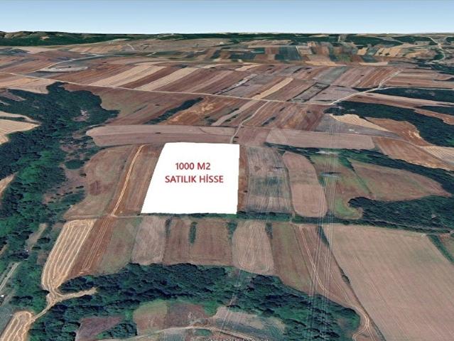 İŞTE FIRSAT SİLİVRİ BÜYÜKKILIÇLI DA 1000 METREKARE HİSSE