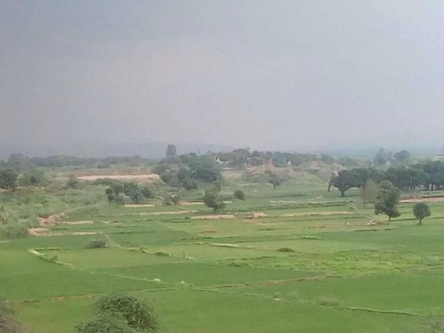 I want to buy a 5 marla single story house. Range from 37 lac to 45 lac Faisalabad ID 18820