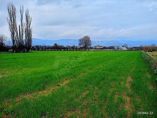 İZMİR ÖDEMİŞ YOLUNA 900 METRE TARLA