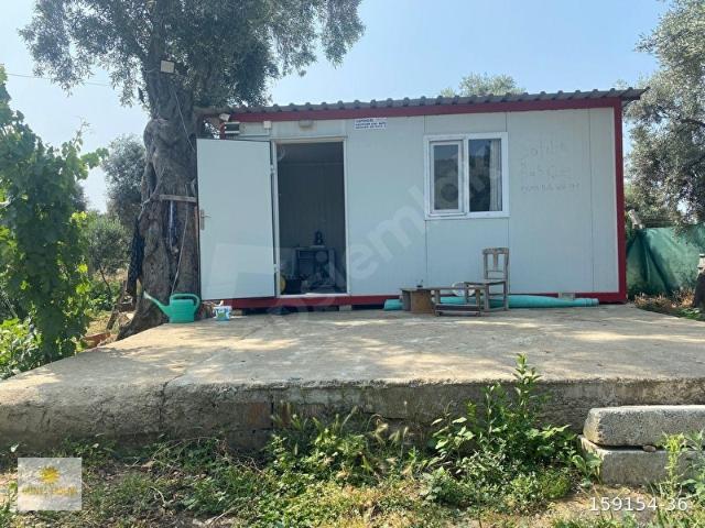 İZMİR BAYINDIR SATILIK MÜSTAKİL BAHÇE