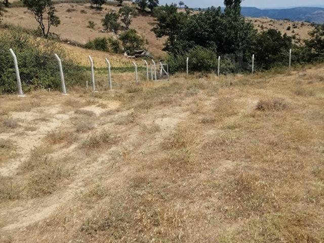 İZMİR BERGAMA DURMUŞLAR ENÇAYIR MEVKİİNDE 6.682 m SATILIK TARLA