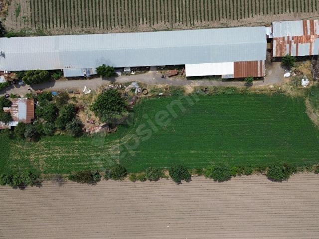 İZMİR BERGAMA ZAĞNOS MAHALLESİNDE SATILIK ÇİFTLİK 7.315m2