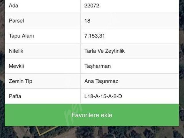 İZMİR BORNOVA GÖKDERE MAHALLESİ'INDE SATILIK 7.153 M2 TARLA VE ZEYTİNLİK