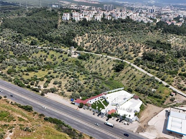 İZMİR BORNOVA ERZENE'DE HİSSELİ ARSA NİTELİĞİNDE 154M2 SATILIK ZEYTİNLİK