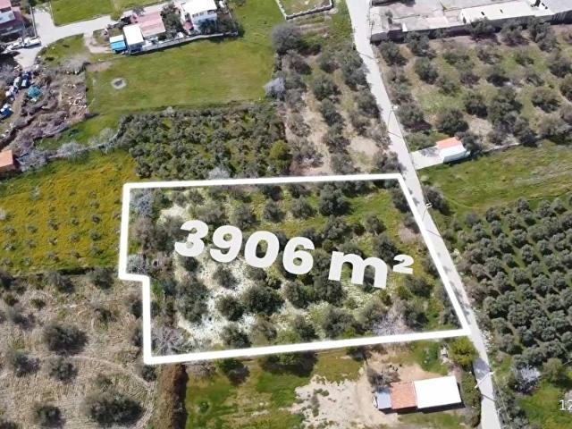 İZMİR DİKİLİ BADEMLİ DE SATILIK 3906 M TEK TAPU ARAZİ