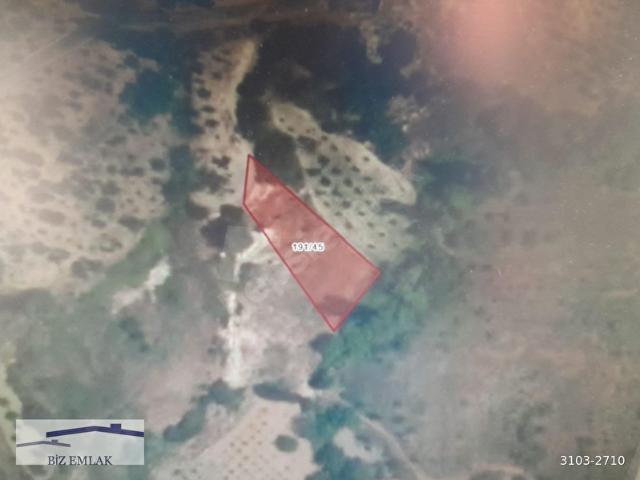 İZMİR KEMALPAŞA DAMLACIK DA KAÇIRILMAYACAK FIRSAT