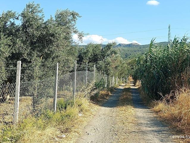 İZMİR KINIK OSMANİYE MAH. SATILIK 2422 M TARLA