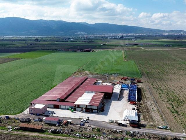 İZMİR KINIK FATİH MAH. SATILIK HAZIR KURULU SİSTEM ÇİFTLİK