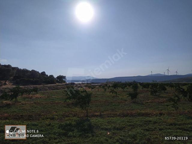İZMİR SEFERİHİSAR'DA DENİZE ÇOK YAKIN *430 M2* ARSA