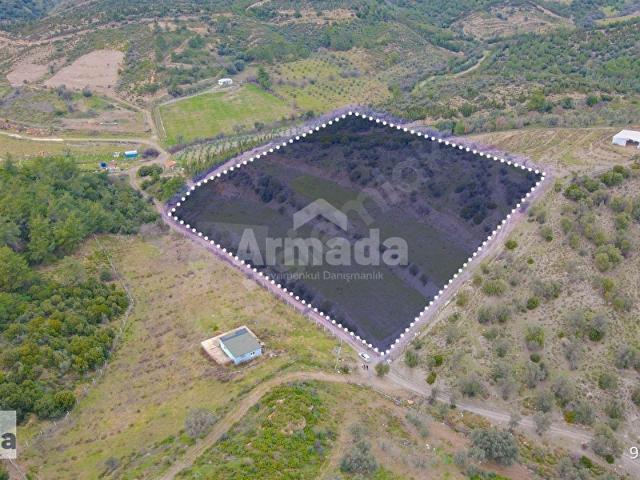 İZMİR SEFERİHİSARDA DOĞA İÇİNDE VERİMLİ TARLA