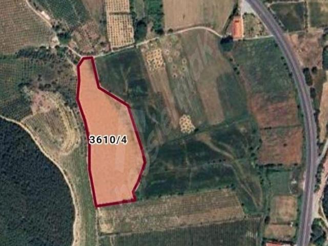 İZMİR SELÇUK ARVALYA MEVKİİ SATILIK TARLA