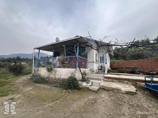 İZMİR TİRE HALKAPINAR KÖYÜNDE 5989m2 BAHÇE