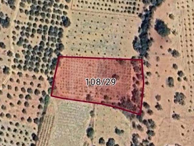 İZMİR TORBALI KARAKIZLAR MAHALLESİ HİSSE KÖK TAPULU 800 M2