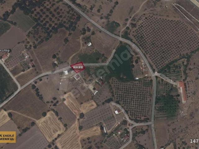 İZMİRALİAĞA HELVACI'DA SATILIK MÜSTAKİL TAPULU BAHÇE