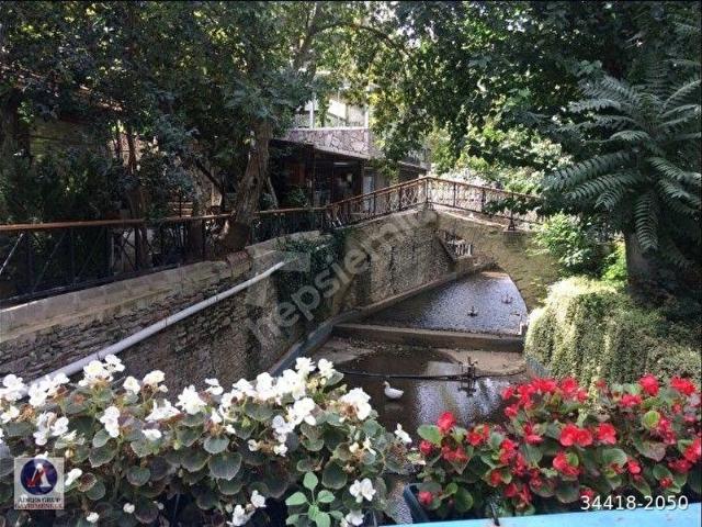 İZMİRBAYINDIRDEREKÖY DE ÜRETİM YOLU OLAN 4238 M2 ZEYTİNLİK