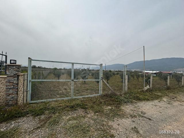 İZMİRİM GAYRİMENKULDEN YUKARIKIZILCADA EVİ OLAN PAYLI MÜLKİYET