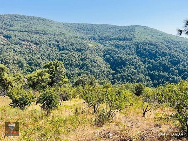 İzmir Bayındır Hisarlık Mh. Ana Yol Kenarında Satılık Kirazlık