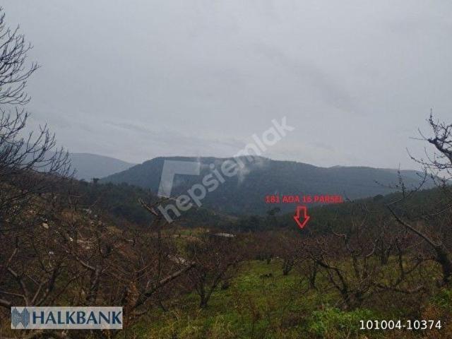 İzmir Bayındır Satılık Arsa
