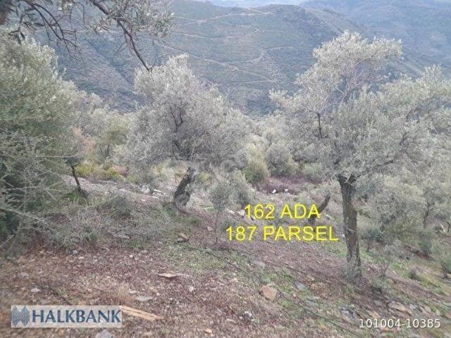 İzmir Bayındır Satılık Arsa