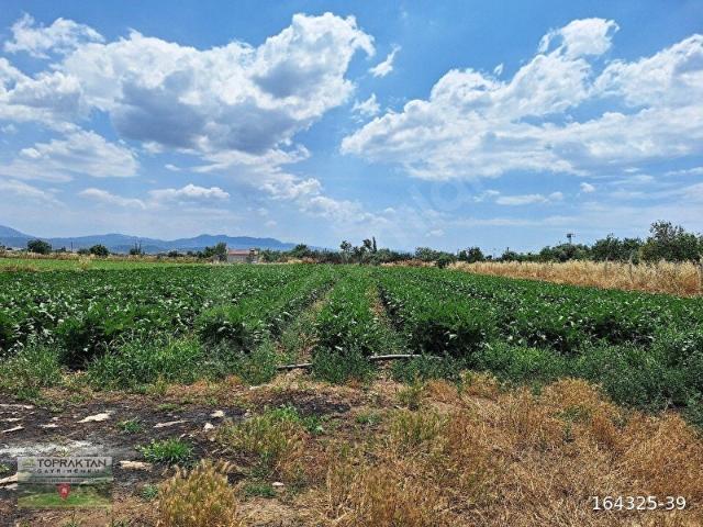 İzmir Bayındır Yakapınar Çayır da İki İmarlı Arsa Elektrik Su Derdi Yok