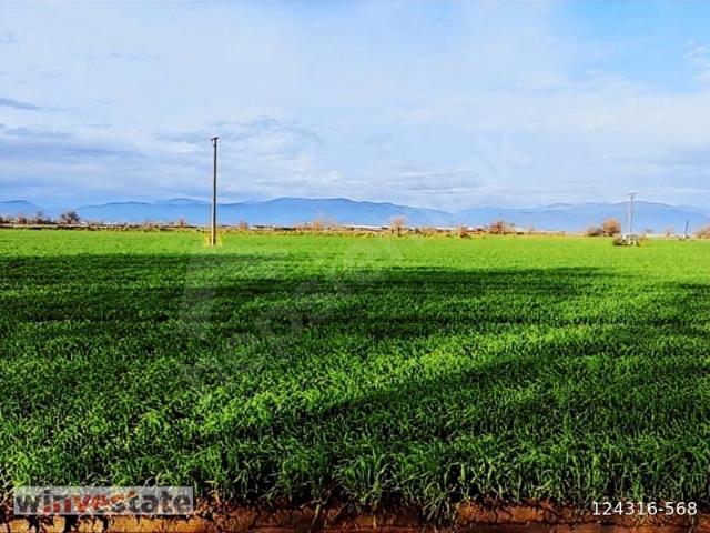 İzmir Bayındır'da 10.769 M2 Satılık Tarla