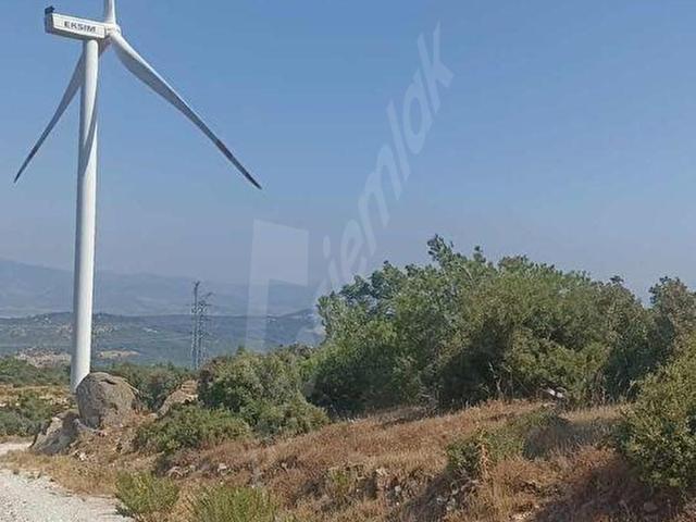 İzmir bergama koyunelinde aliaga yakin koykenari arazi