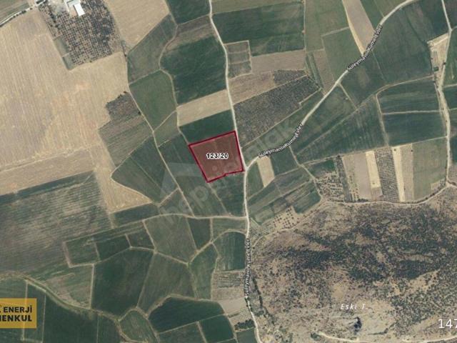 İzmir Bergama Ovacık 22.071 m2 Satılık Yatırımlık Tarla