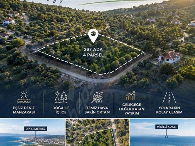 İzmir Dikili Bademli'de Satılık Kooperatif Hissesi Denize 1 Km