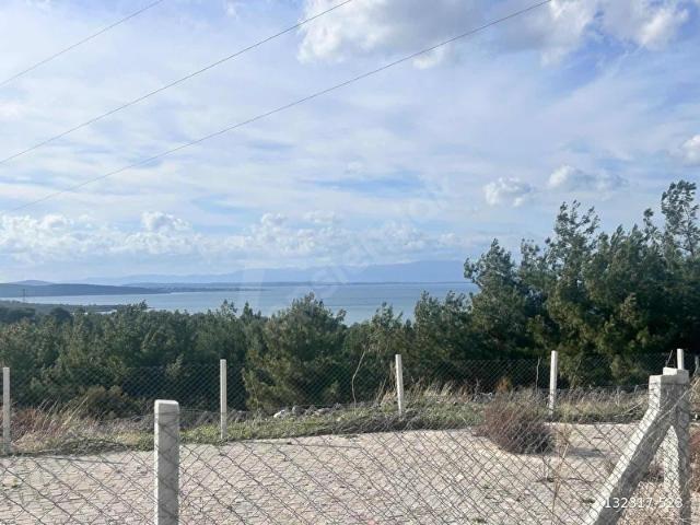 İzmir Çeşme germiyanda 150 m2 hisseli tarla