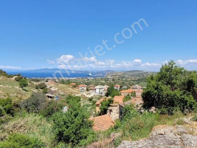 İzmir Foça Kozbeyli Köyünde Eşsiz Manzaralı Kiralık İşyeri
