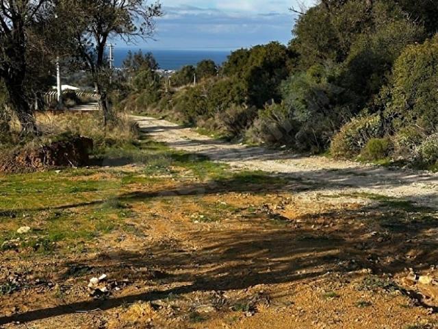 İzmir Foça Kozbeylide 272 m2 Hisseli Tapumuz Satılıktır