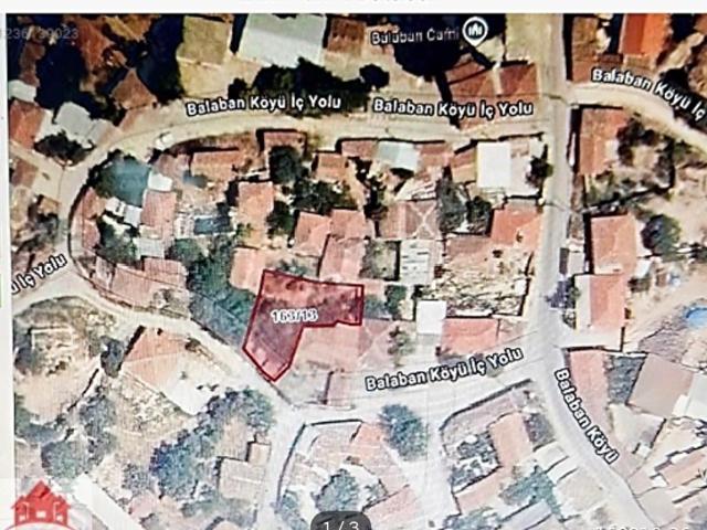 İzmir kınık Balaban