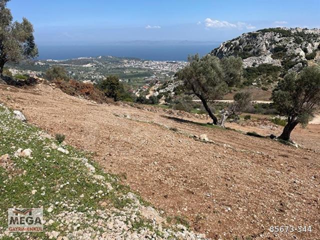İzmir Karaburun Mordoğan Köyünde Deniz Manzaralı Yolu Olan Tarla