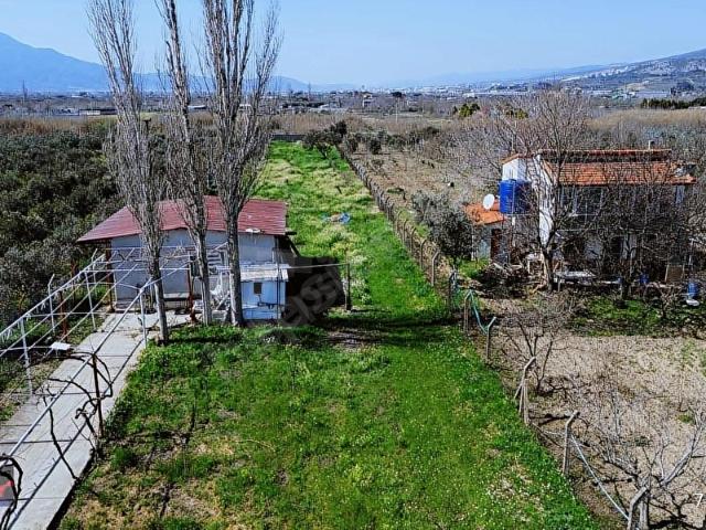 İzmir Kemalpaşa Armutlu'da Mükemmel Fırsat