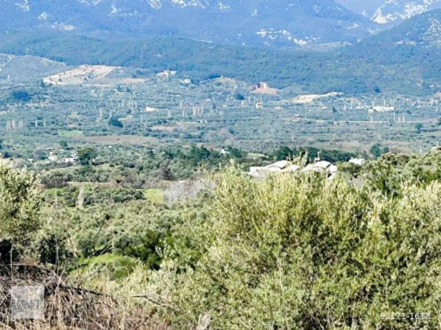 İzmir Kemalpaşa Yeşilköyde Doğa Manzaralı 3.928 m2 Satılık Tarla